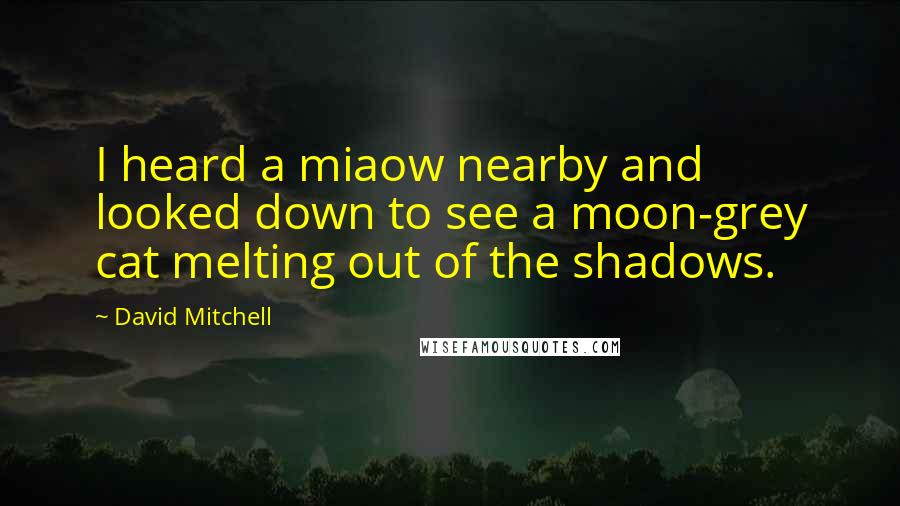 David Mitchell Quotes: I heard a miaow nearby and looked down to see a moon-grey cat melting out of the shadows.