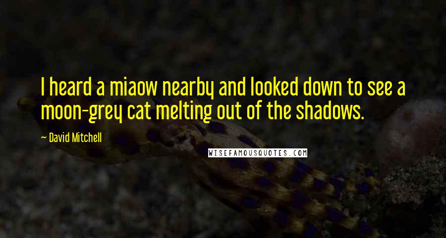 David Mitchell Quotes: I heard a miaow nearby and looked down to see a moon-grey cat melting out of the shadows.