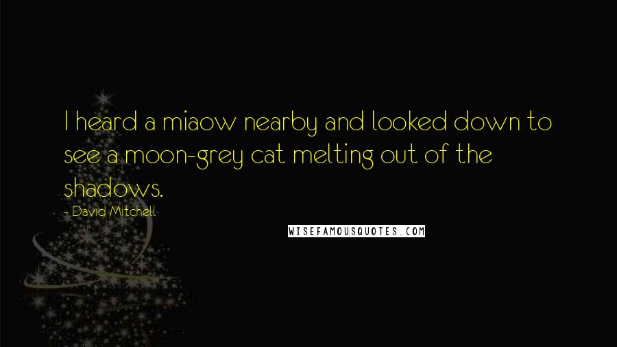 David Mitchell Quotes: I heard a miaow nearby and looked down to see a moon-grey cat melting out of the shadows.