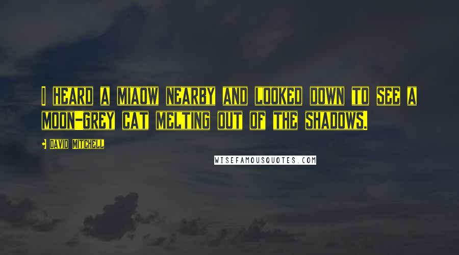 David Mitchell Quotes: I heard a miaow nearby and looked down to see a moon-grey cat melting out of the shadows.