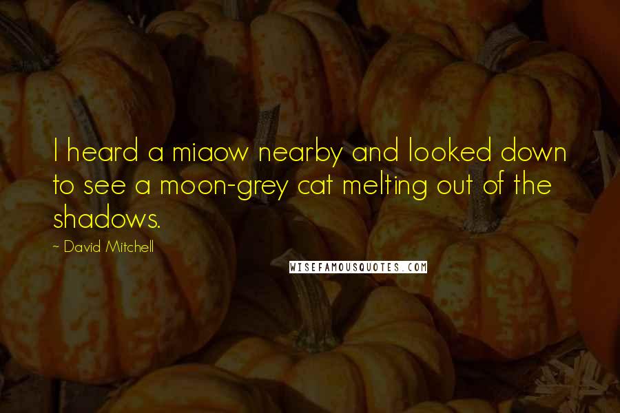 David Mitchell Quotes: I heard a miaow nearby and looked down to see a moon-grey cat melting out of the shadows.