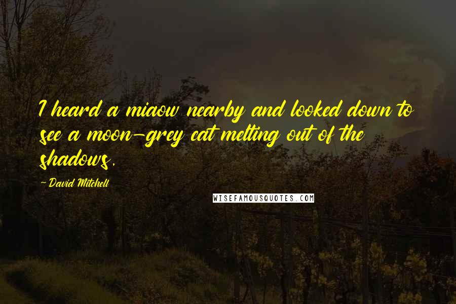 David Mitchell Quotes: I heard a miaow nearby and looked down to see a moon-grey cat melting out of the shadows.