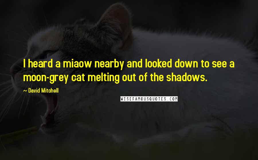 David Mitchell Quotes: I heard a miaow nearby and looked down to see a moon-grey cat melting out of the shadows.