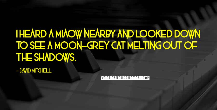 David Mitchell Quotes: I heard a miaow nearby and looked down to see a moon-grey cat melting out of the shadows.