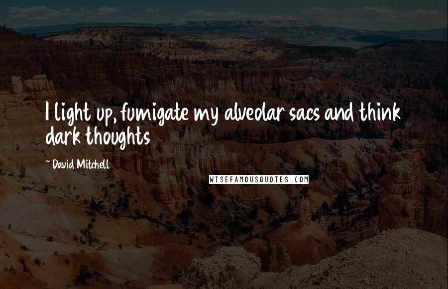 David Mitchell Quotes: I light up, fumigate my alveolar sacs and think dark thoughts