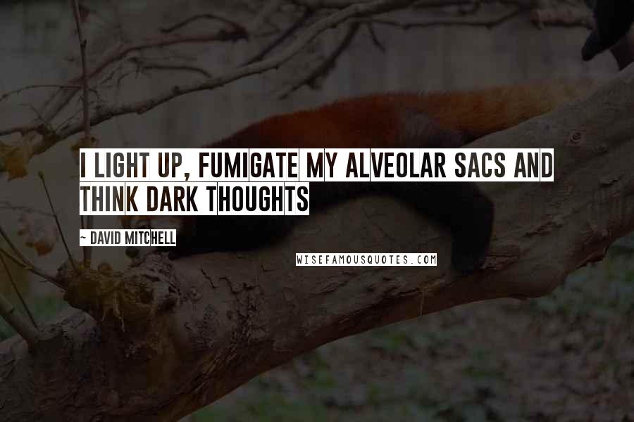 David Mitchell Quotes: I light up, fumigate my alveolar sacs and think dark thoughts