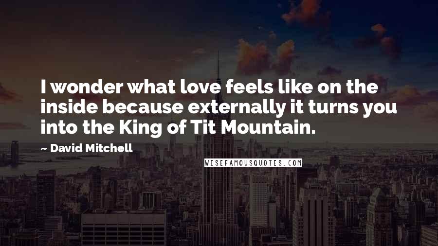 David Mitchell Quotes: I wonder what love feels like on the inside because externally it turns you into the King of Tit Mountain.