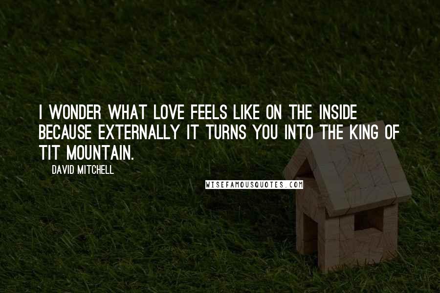 David Mitchell Quotes: I wonder what love feels like on the inside because externally it turns you into the King of Tit Mountain.