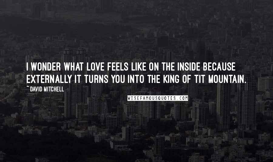 David Mitchell Quotes: I wonder what love feels like on the inside because externally it turns you into the King of Tit Mountain.