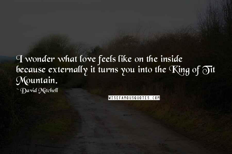 David Mitchell Quotes: I wonder what love feels like on the inside because externally it turns you into the King of Tit Mountain.