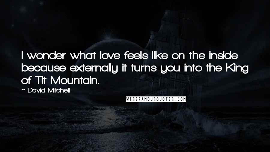 David Mitchell Quotes: I wonder what love feels like on the inside because externally it turns you into the King of Tit Mountain.