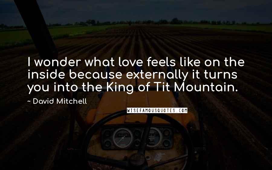 David Mitchell Quotes: I wonder what love feels like on the inside because externally it turns you into the King of Tit Mountain.