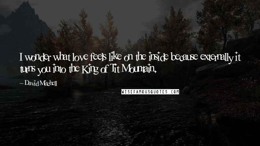 David Mitchell Quotes: I wonder what love feels like on the inside because externally it turns you into the King of Tit Mountain.