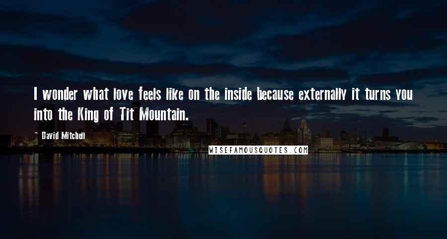 David Mitchell Quotes: I wonder what love feels like on the inside because externally it turns you into the King of Tit Mountain.