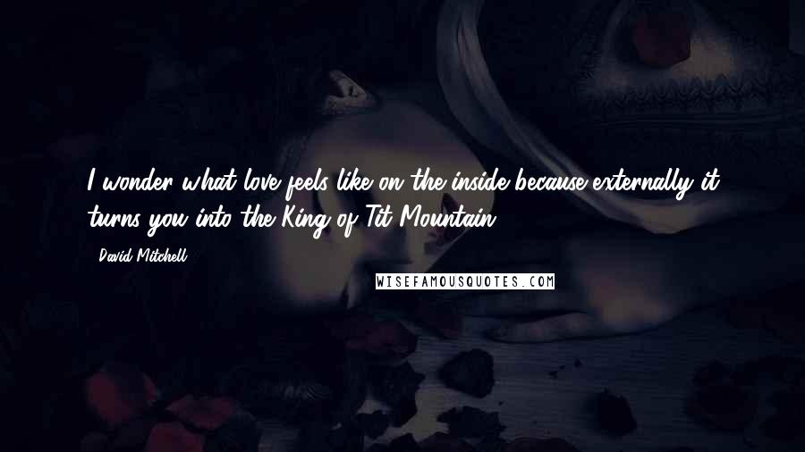 David Mitchell Quotes: I wonder what love feels like on the inside because externally it turns you into the King of Tit Mountain.