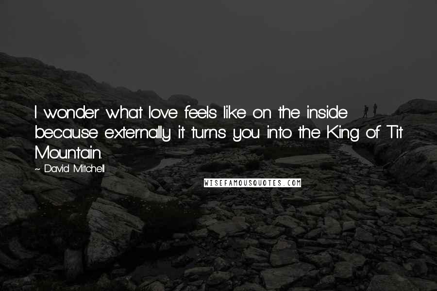 David Mitchell Quotes: I wonder what love feels like on the inside because externally it turns you into the King of Tit Mountain.