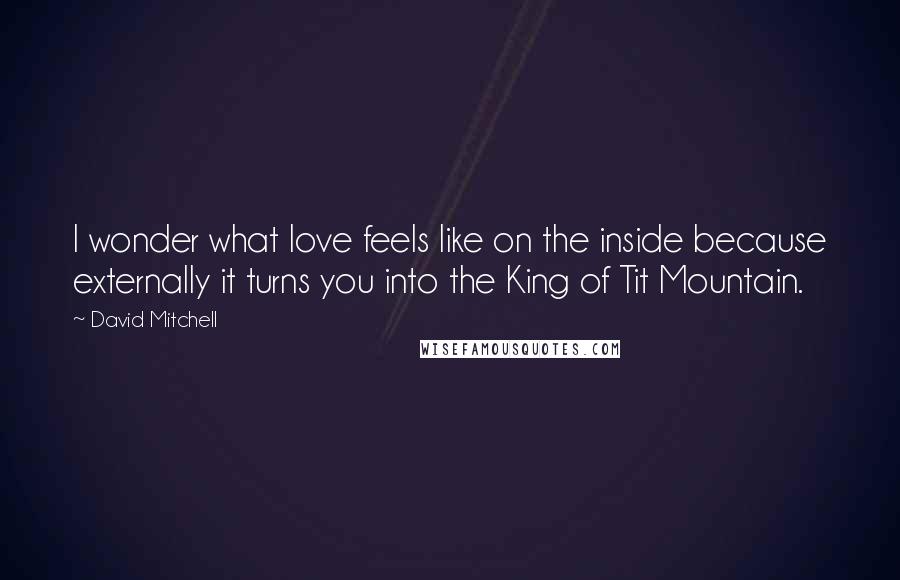 David Mitchell Quotes: I wonder what love feels like on the inside because externally it turns you into the King of Tit Mountain.