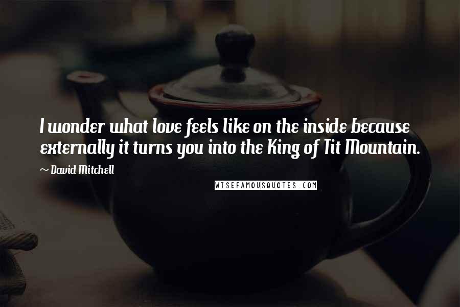 David Mitchell Quotes: I wonder what love feels like on the inside because externally it turns you into the King of Tit Mountain.