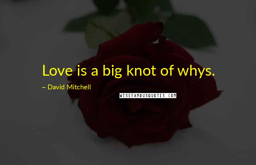 David Mitchell Quotes: Love is a big knot of whys.