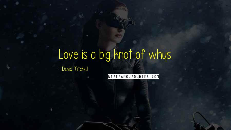 David Mitchell Quotes: Love is a big knot of whys.
