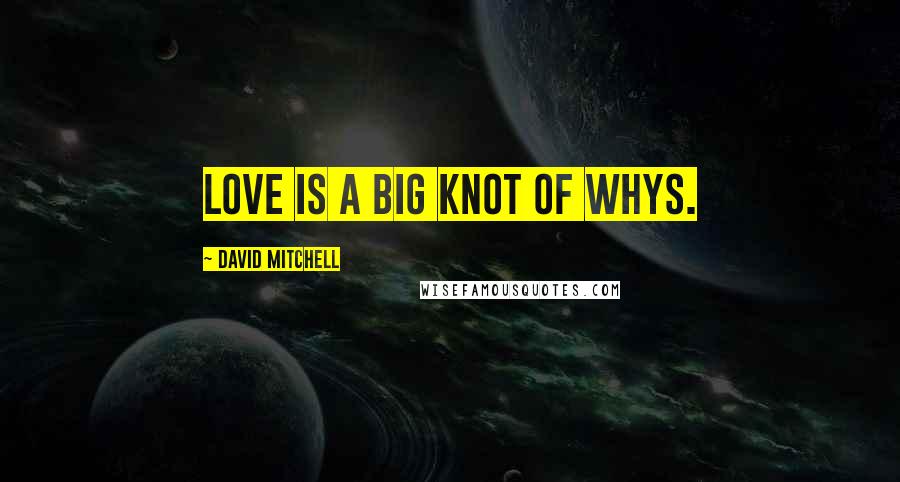 David Mitchell Quotes: Love is a big knot of whys.