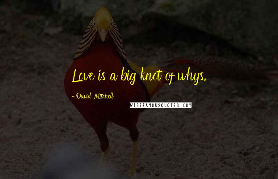 David Mitchell Quotes: Love is a big knot of whys.