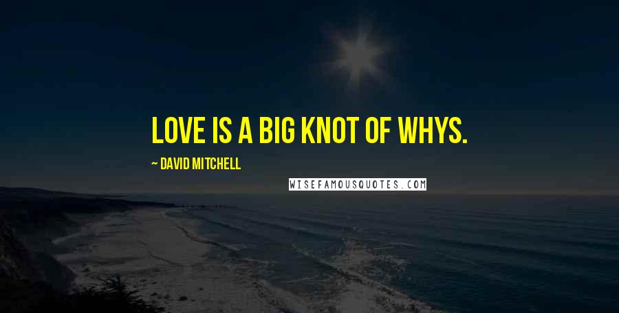 David Mitchell Quotes: Love is a big knot of whys.