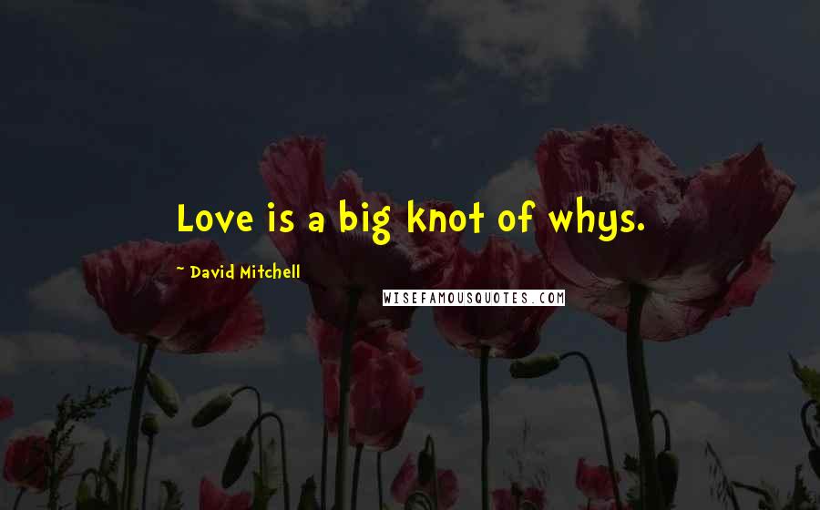David Mitchell Quotes: Love is a big knot of whys.
