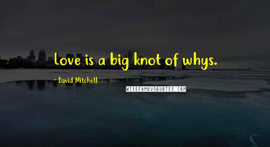 David Mitchell Quotes: Love is a big knot of whys.