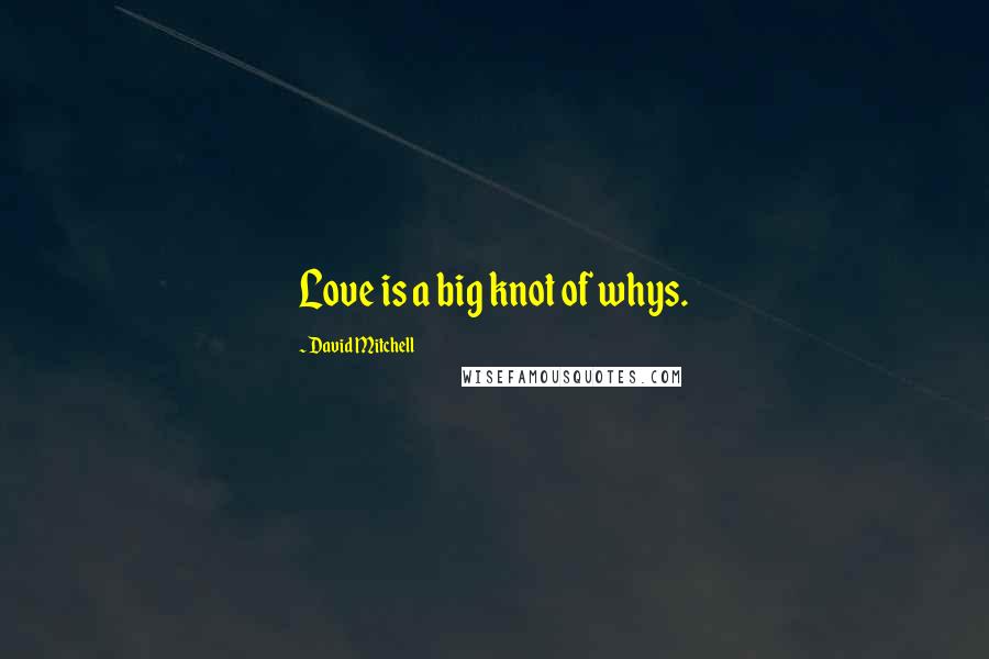 David Mitchell Quotes: Love is a big knot of whys.