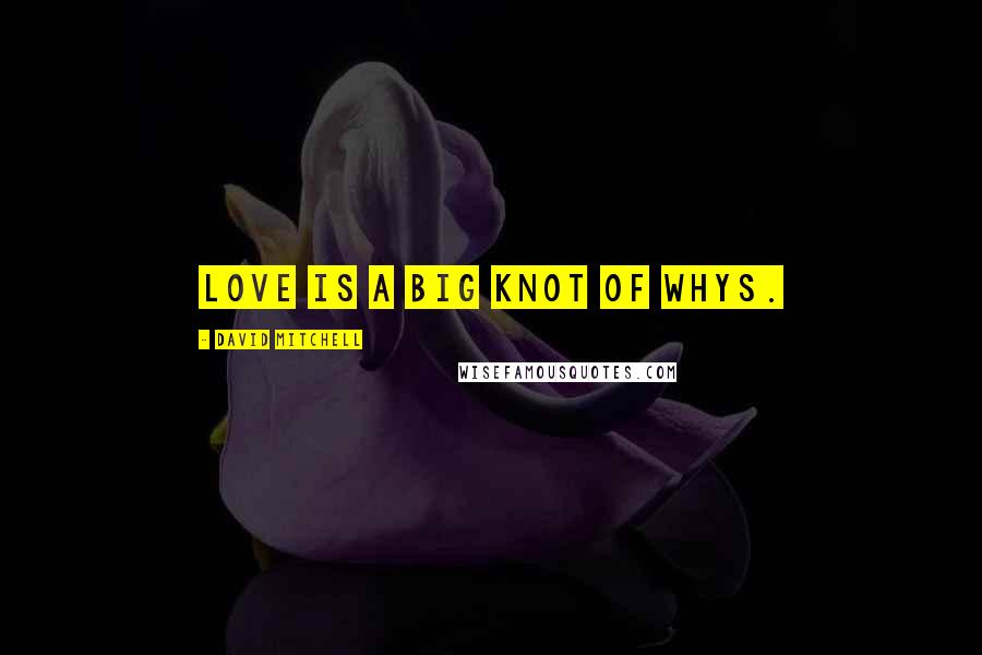 David Mitchell Quotes: Love is a big knot of whys.
