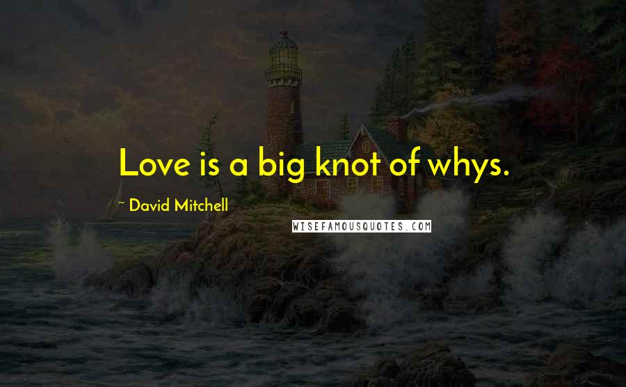 David Mitchell Quotes: Love is a big knot of whys.