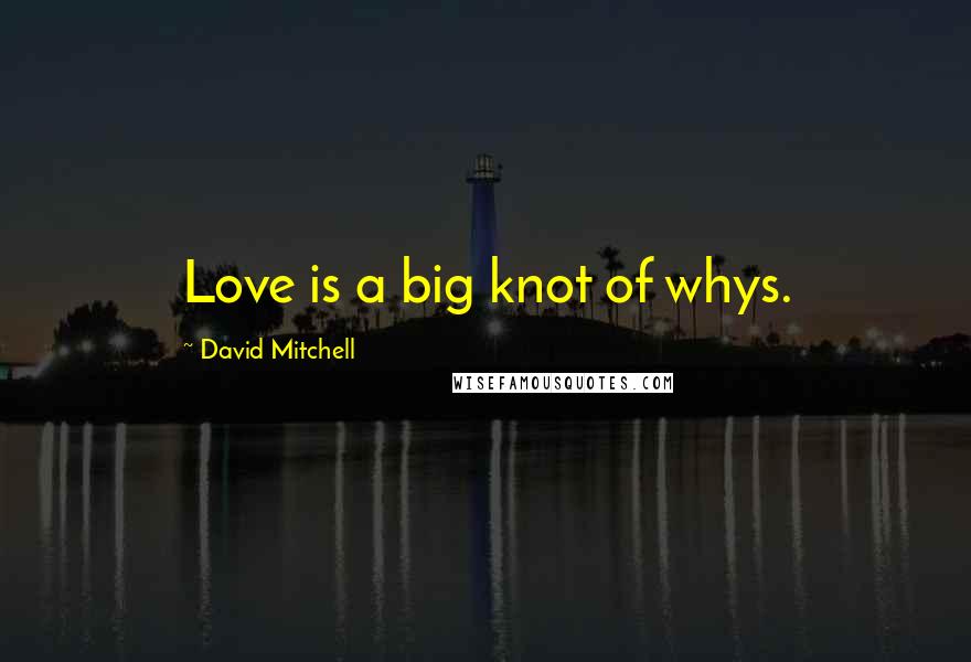 David Mitchell Quotes: Love is a big knot of whys.