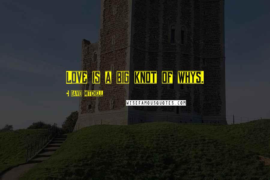 David Mitchell Quotes: Love is a big knot of whys.