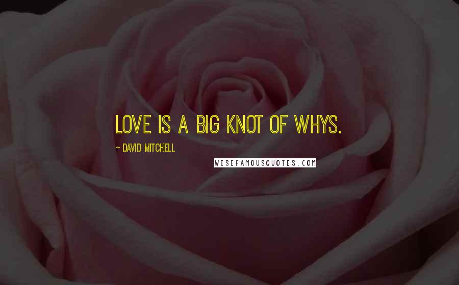 David Mitchell Quotes: Love is a big knot of whys.