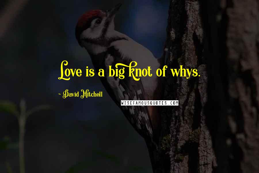 David Mitchell Quotes: Love is a big knot of whys.
