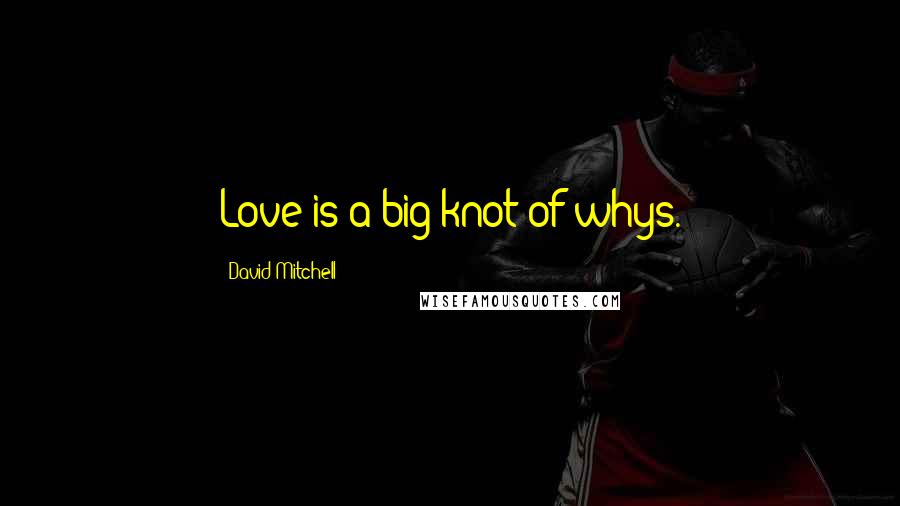 David Mitchell Quotes: Love is a big knot of whys.