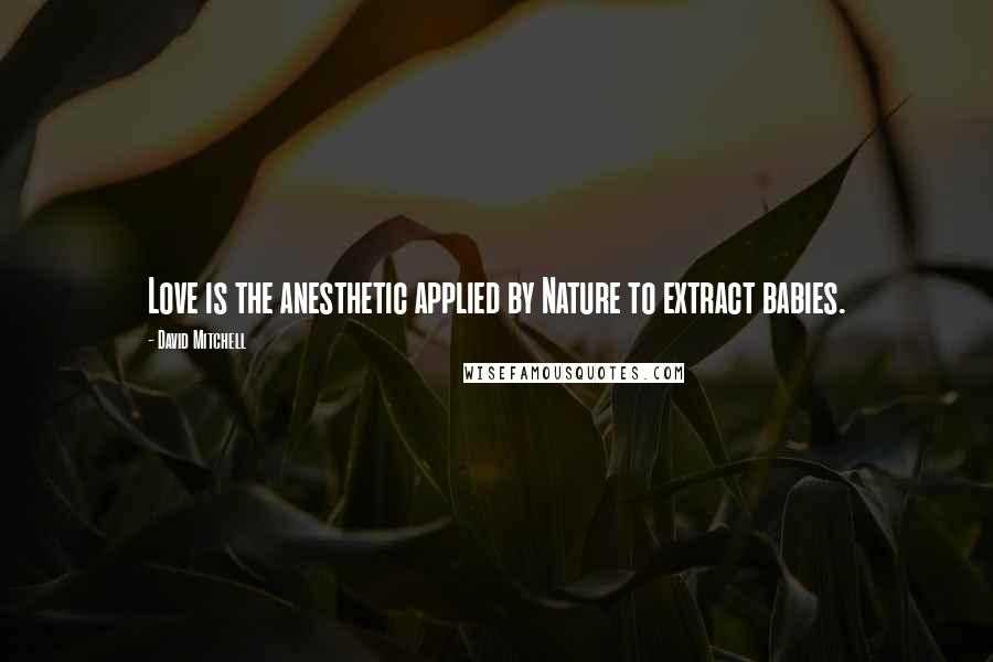 David Mitchell Quotes: Love is the anesthetic applied by Nature to extract babies.