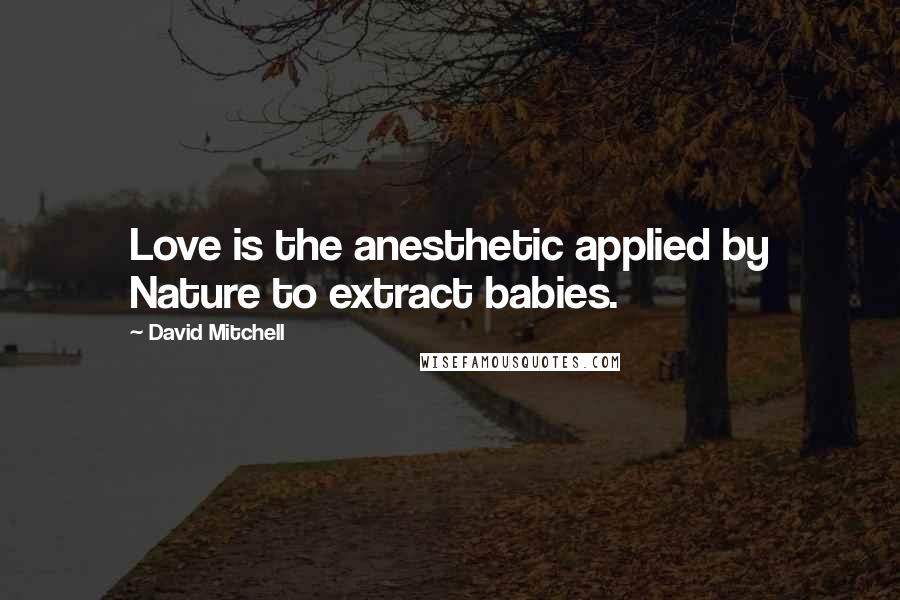David Mitchell Quotes: Love is the anesthetic applied by Nature to extract babies.