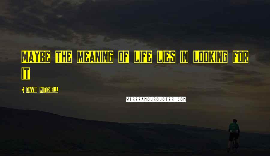 David Mitchell Quotes: Maybe the meaning of life lies in looking for it