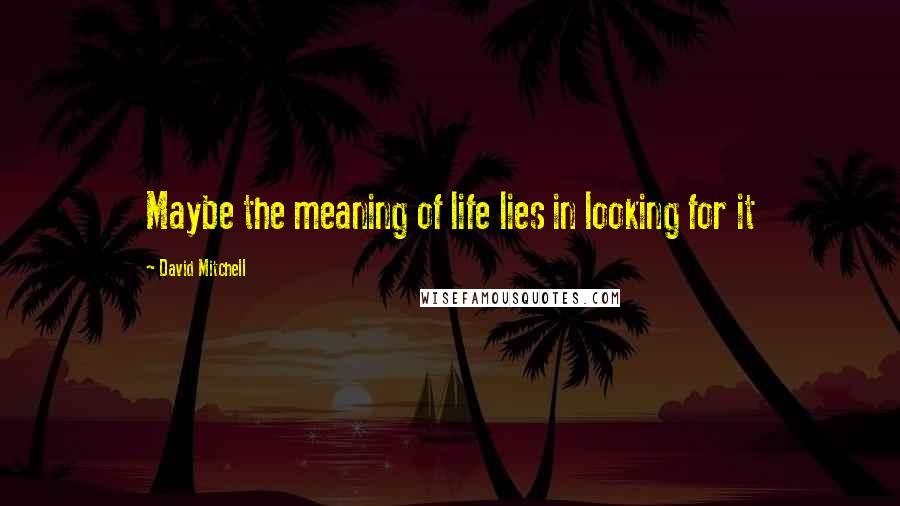 David Mitchell Quotes: Maybe the meaning of life lies in looking for it