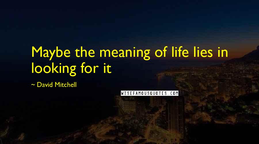 David Mitchell Quotes: Maybe the meaning of life lies in looking for it