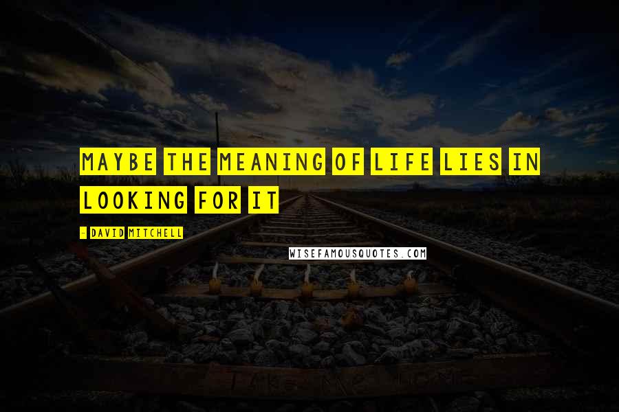 David Mitchell Quotes: Maybe the meaning of life lies in looking for it