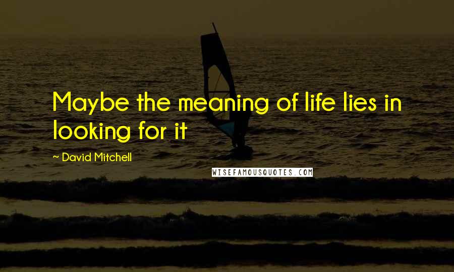 David Mitchell Quotes: Maybe the meaning of life lies in looking for it