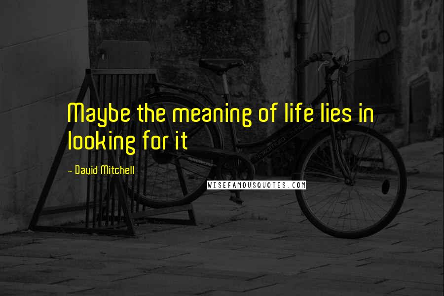David Mitchell Quotes: Maybe the meaning of life lies in looking for it