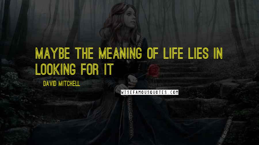 David Mitchell Quotes: Maybe the meaning of life lies in looking for it