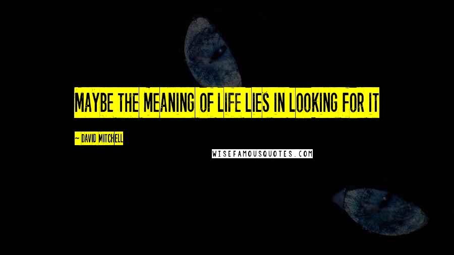 David Mitchell Quotes: Maybe the meaning of life lies in looking for it