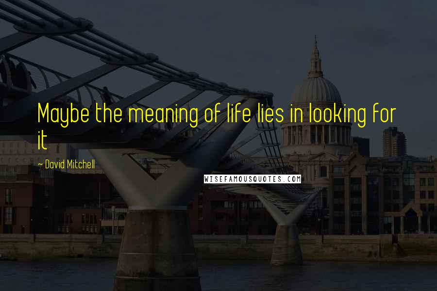 David Mitchell Quotes: Maybe the meaning of life lies in looking for it