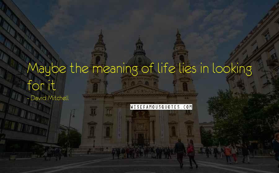 David Mitchell Quotes: Maybe the meaning of life lies in looking for it