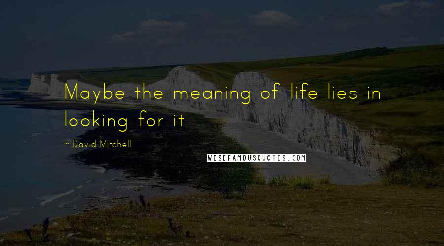 David Mitchell Quotes: Maybe the meaning of life lies in looking for it